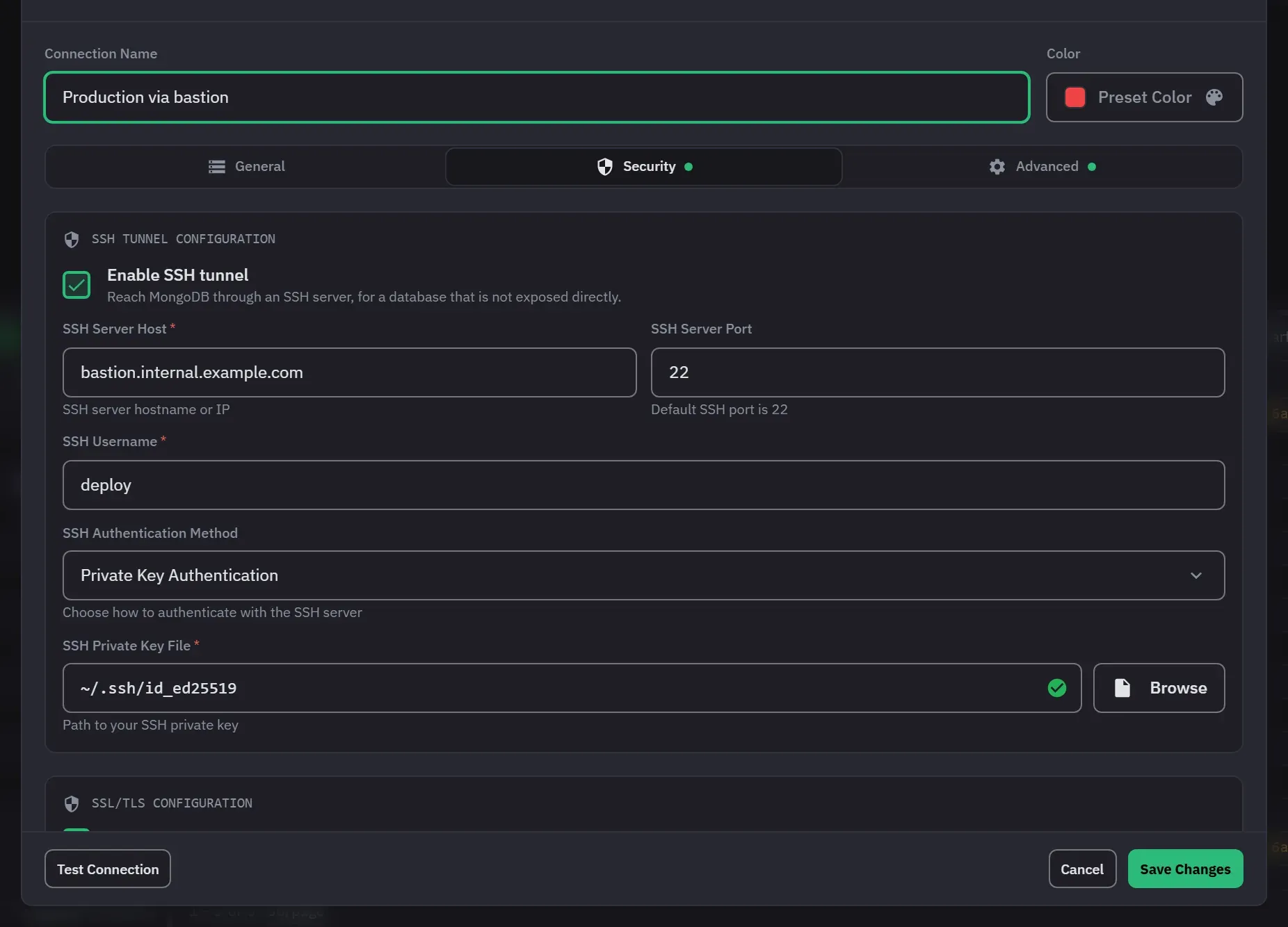The connection dialog on its Security tab, with the SSH tunnel enabled and its host, port, user and key file filled in